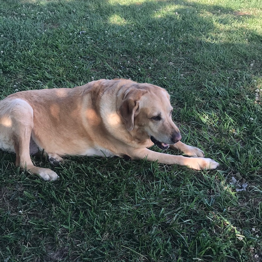 Meet your Posher, Kristin